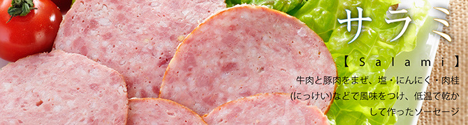 サラミ タイトル